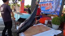 黑鲔鱼切割秀，肉嫩鲜红，价格不便宜！