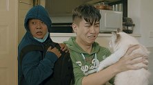 《陈翔六点半》第288集 连猫都不让玩，这日子该咋过啊？