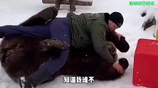 熊再凶也没用！遇上俄罗斯人该怂还得怂！