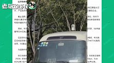 5G商用牌照正式发放！华为、高通、中兴、小米等厂商集体道喜