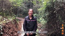 石菖蒲又叫水蜈蚣，用它熬水洗澡厉害了？看视频了解更多