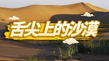 从浩瀚大漠到绿洲沃野，坚持的力量（上）