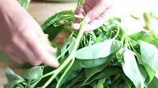 怎样做使空心菜碧绿不发黑，教你一个小技巧，鲜嫩好吃不发黑