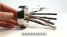 号称磁王的“钕磁铁”，是否能吸走血液中的铁呢？网友：刺激！