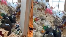 江苏一租客退房后垃圾堆成半人高 邻居：难以下脚，臭气熏天
