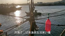 日照渔民出海归来，捕获红鱼上千斤，还有不少值钱的野货，发财啦