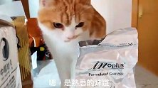 我家的小猫旺财，居然会自己冲奶粉
