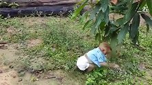 这个逗比的主人，把小猴仔当自己孩子了，尿不湿用上了
