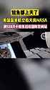 航天 卫星 空间站 科技 NASA将128只小鱿鱼送往国际空间站