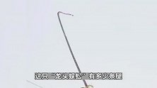 潍坊国际风筝节开幕：175米长的龙头蜈蚣风筝飞上天，“放的是人类想象力”