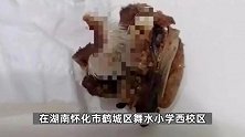湖南怀化一小学食堂吃出“鼠头”？当地成立联合调查组开展调查