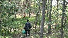 神秘老林有个湾，小胖发现鱼花一网下去惊心动魄，意外收获害怕了