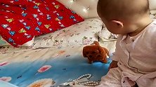 8个月宝宝玩电子狗，接下来一幕，这智商老娘真服了！