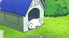蜡笔小新-小白变得好胖，圆滚滚的！小新只好陪它减肥！