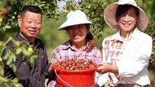 网络直播 中国农民丰收节融媒体特别报道《丰收的礼赞》
