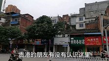 贵港市建设东路北门市场，是不是比三合市场好看，小苏分享给大家