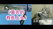 飞机上沙哑小伙唱搞笑版《少年》