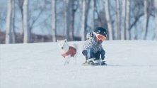 冬奥开幕式陪小主人滑雪的狗狗 背后故事很暖心