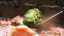 水刀的威力到底有多厉害？老外用金龟亲测，没想意外却发生了