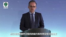 德外长批美削弱世卫组织：你这样等于在飞行中把飞行员扔出飞机