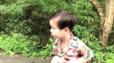 小宝宝看到一只蝴蝶被压扁了，然后同情心泛滥，还要帮蝴蝶找家人