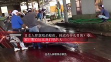 日本人肆意残杀鲸鱼，到底有什么目的？专家：野心远比我们想的大