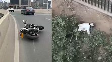 又一起！郑州女子骑车撞路肩被甩下高架桥 奇迹逃过一劫