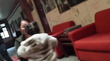 中国女孩被外国夫妻收养，这么可爱的孩子，亲生父母怎么狠心抛弃