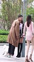 公共场合禁止虐狗