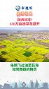 美得像画！朱鹮 飞过油菜花海，陕西汉中 120万亩油菜花盛开！