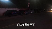 合肥庐江最牛的老鹅馆，200元一盆还要提前预定门口车停不下