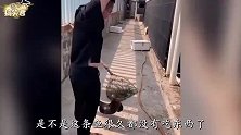爆笑： 妹子你不去当个演员，我觉得都可惜了