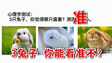 心理学测试：3只兔子，你觉得哪只最重？看透你的内心