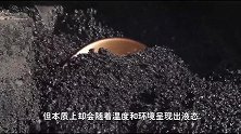 为什么说沥青是液体而非固体？动画演示形成原理，1分钟了解真相