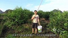 小伙布置拦河网，刚到河边就看到网里有鱼，一顿驱赶后收获更惊喜