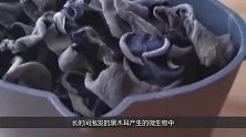 警惕！这样的木耳切记别吃，多人已中毒！赶紧转告身边人