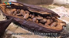 零食店里的手工巧克力，一点点磨出来后捣碎泡茶，尝一口味道绝了