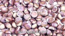 板栗开口不要直接用刀切，只需一个瓶盖，简单又快速，还不伤手