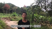 奶奶几十年前种的“摇钱树”，广东老板出价50万也不卖，为什么