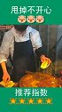 这是“木屑肉夹馍”吧哈哈