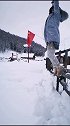 几千公里来，就为了这一跳