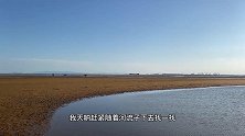 大海退潮后，二强在沙滩上挖到宝藏，赶紧带回家鉴定一下