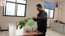 河南地道捞面条，试试用芹菜香菇肉丝做臊子，爽滑筋道吃着真过瘾