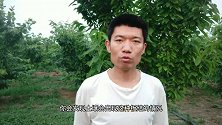 复合肥的正确使用方法，用对不后悔