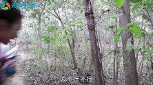 召唤术3：无敌用辣条引诱黑龙怪入陷阱，黑龙怪会上当吗？无硼砂
