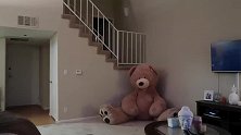 丈夫躲进大熊玩偶中闹出动静，吓得妻子抱起孩子赶紧逃离，太坏了