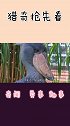 鸟界的“哈士奇”很搞笑，它还是鳄鱼的天敌，鳄鱼看到他就跑