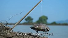 男子自制钓鱼竿，用乌龟当诱饵，乌龟：这是人干的事吗