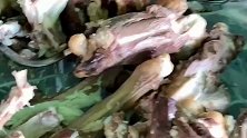 活了二十多年，我今天才刚知道，原来蒙古人是这样吃肉的！