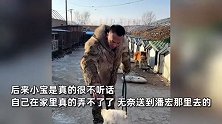 潘宏基地另一网红狗疑被咬死，主人称送去不到2个月就离世，潘宏回应